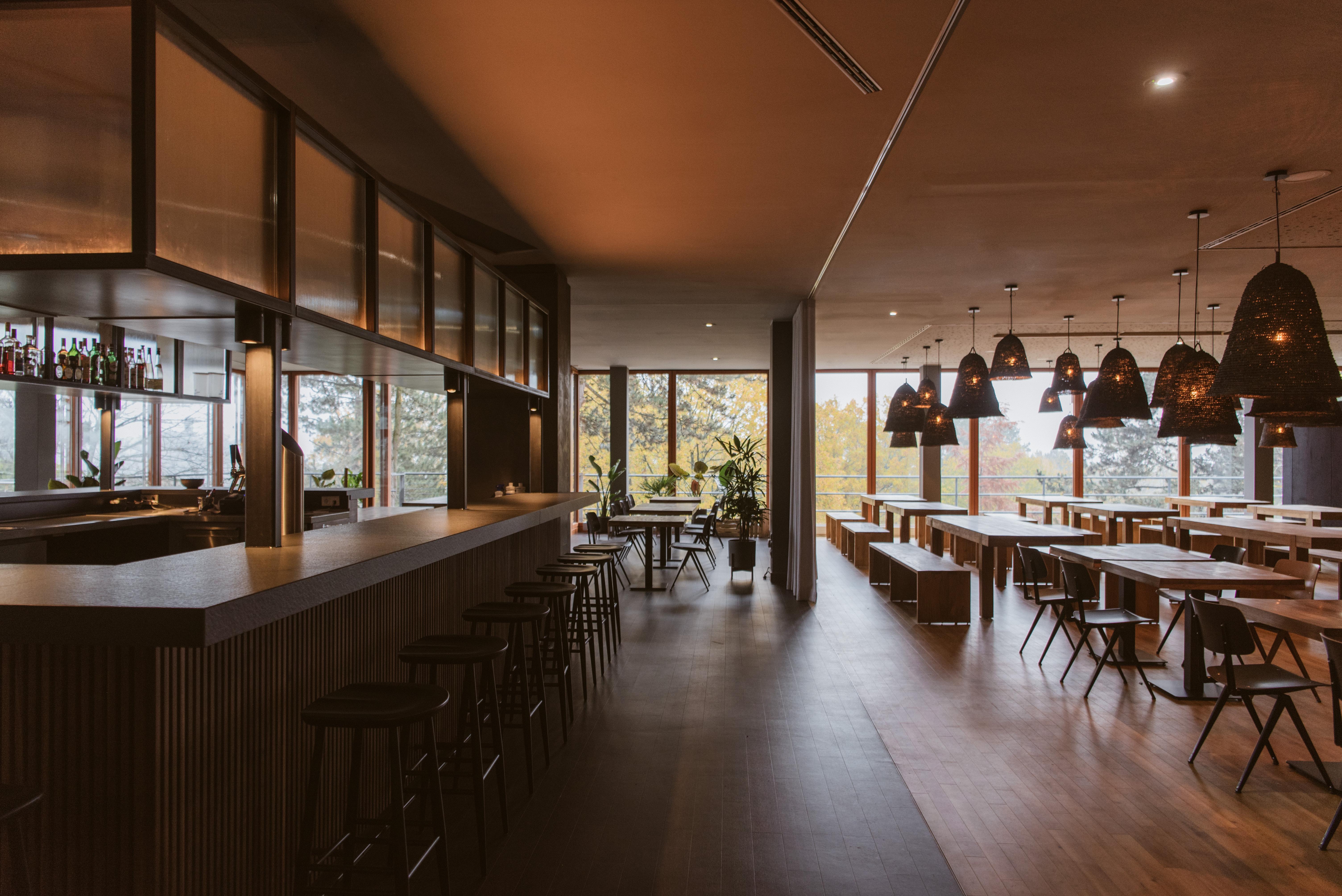 Bold Campus Hotel Königstein im Taunus Eksteriør billede